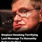 Stephen Hawking Shared A Terrifying Last Message To Humanity Before He Died